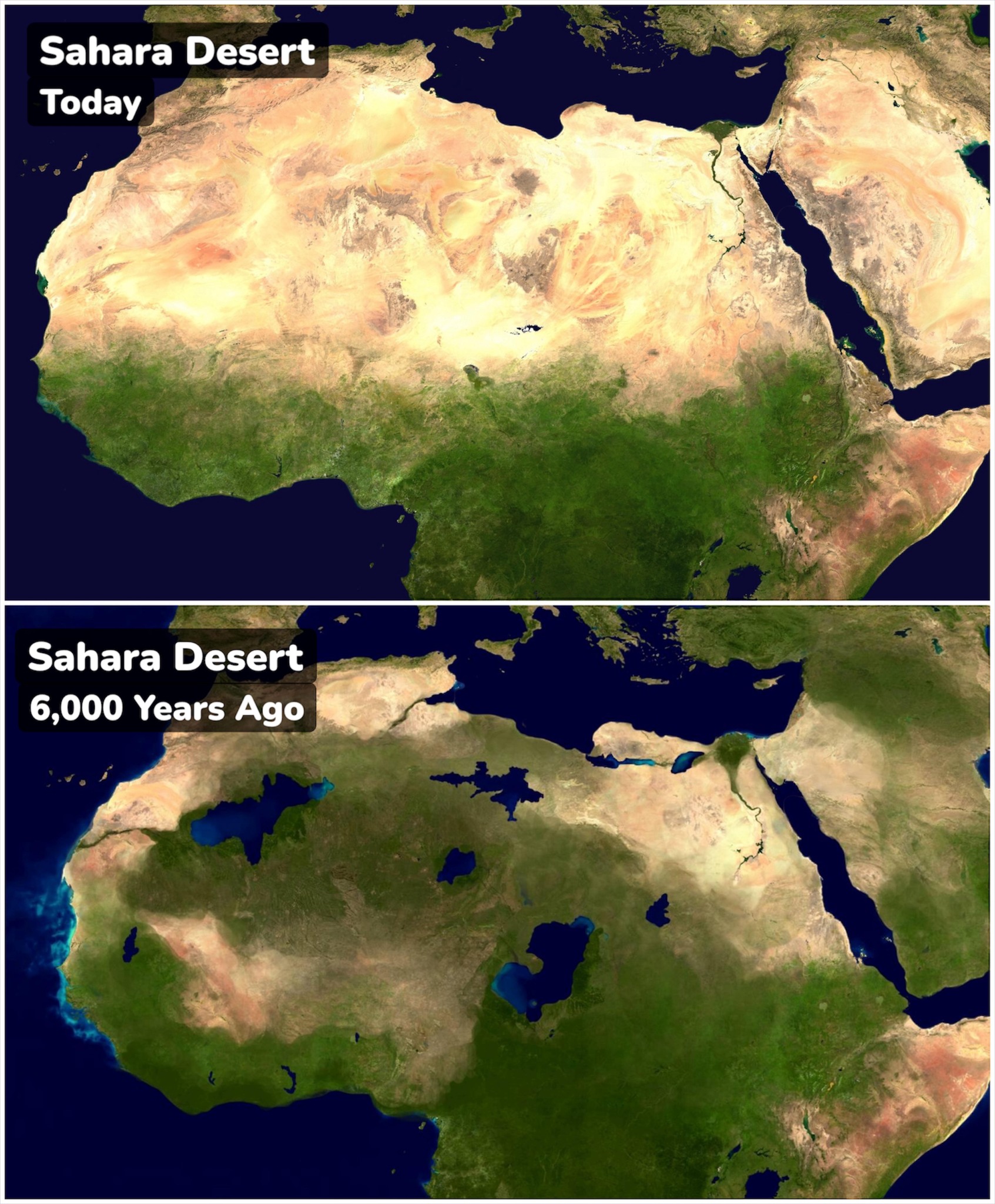 The drying of the Sahara