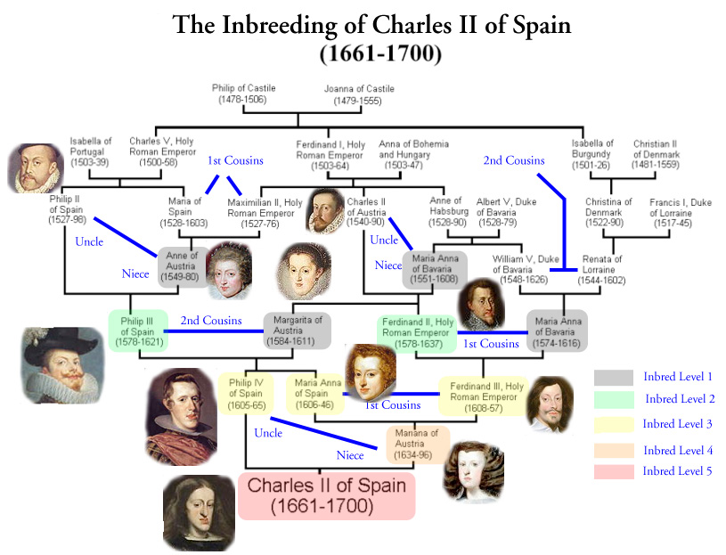 The twisted family tree of Spain's Charles II.
