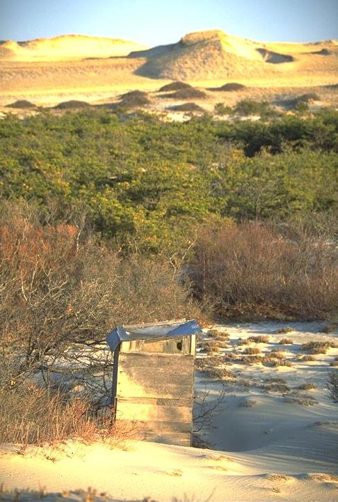 Outhouse on the Dunes