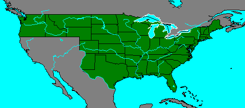 The United States, 1847