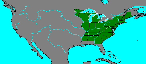 The United States, 1800