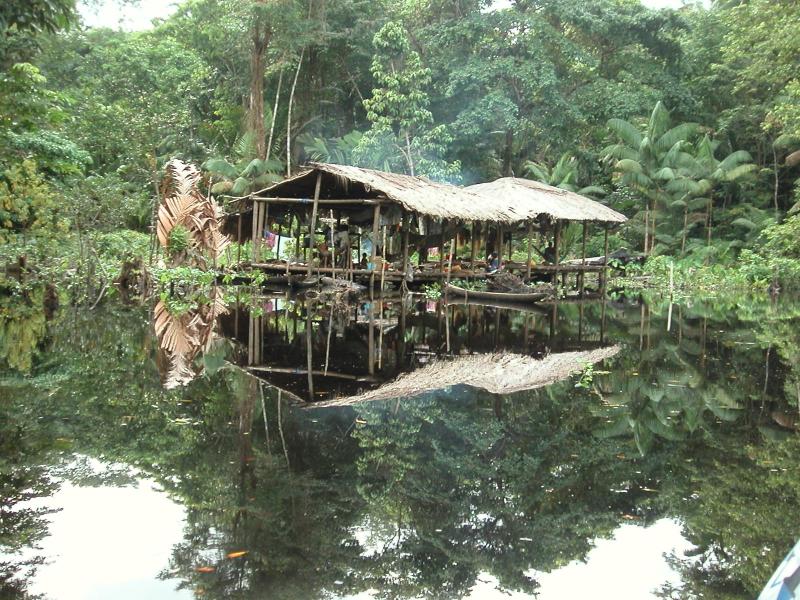 Venezuelan native hut.