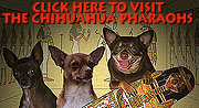 The Chihuahua Pharaohs