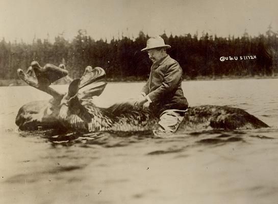 Roosevelt and the Bull Moose.
