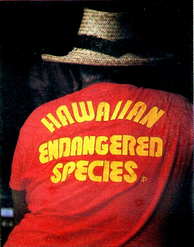 Hawaiian, endangered species.