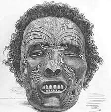Tattooed, preserved Maori head.