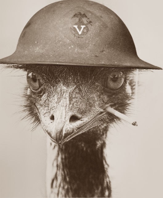 Emu with WWI army helmet & cigarette.