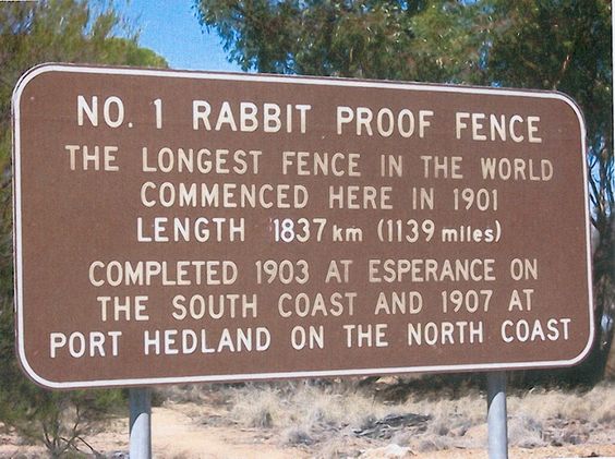 World's longest fence.