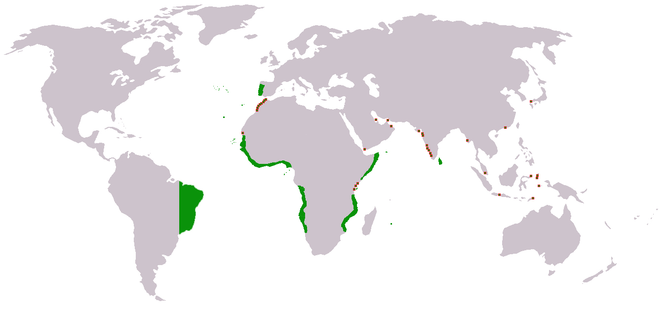 The Portuguese Empire, both colonies and outposts.