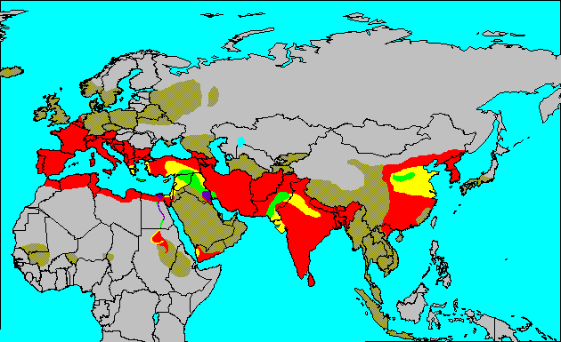 Map of the Spread of Civilization